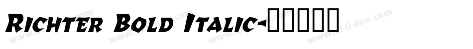 Richter Bold Italic字体转换